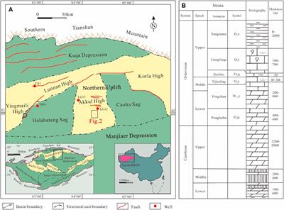 The differential collapse–filling evolution process of the paleo-underground river in the Northern Uplift of the Tarim Basin
